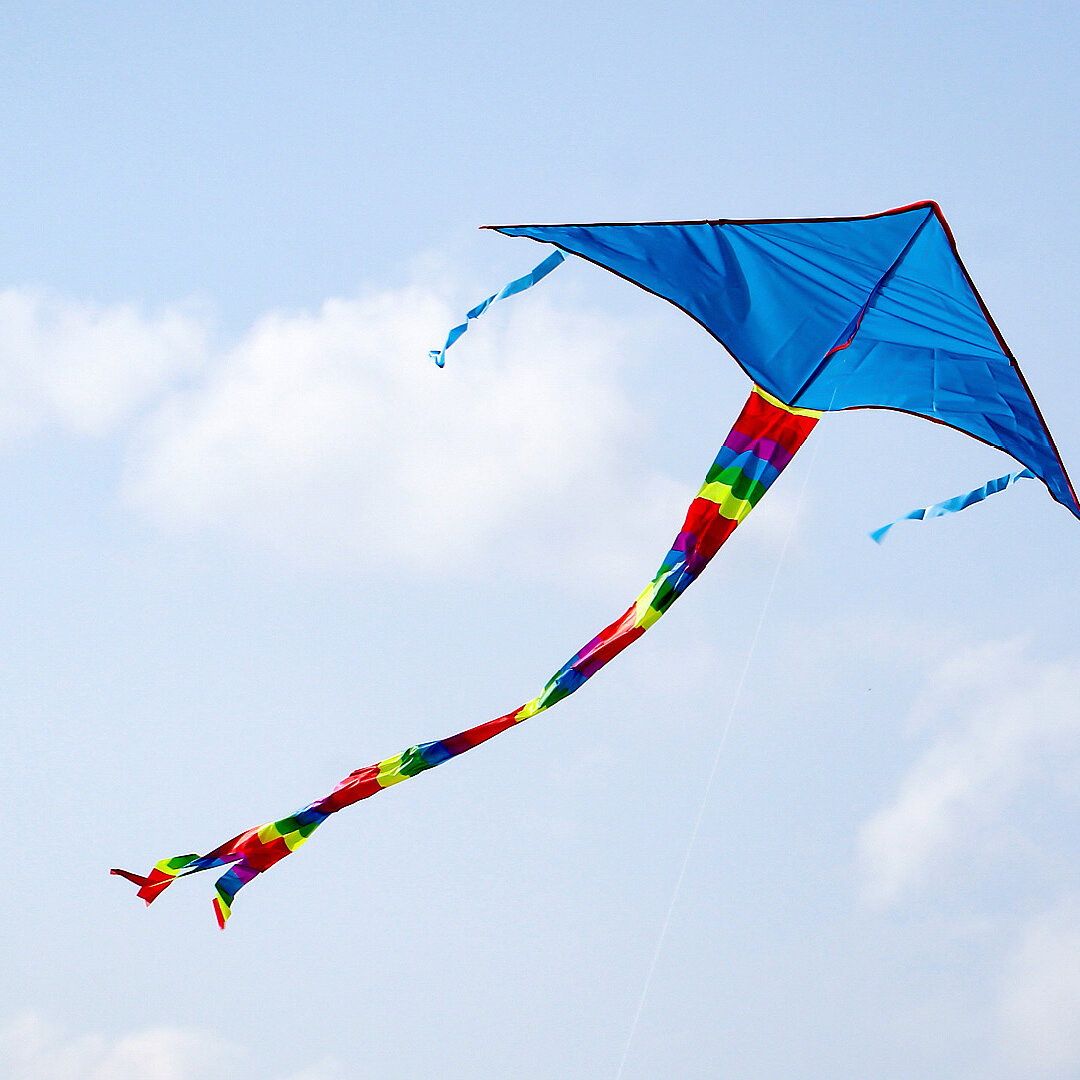 Low-carbon hydrogen in the EU